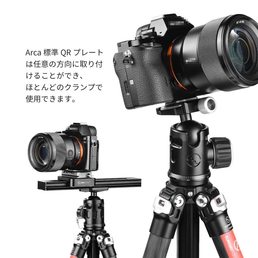 アルソア セット 楽天市場】アルソア セットの通販