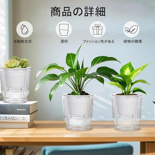 Phyxiul 自動給水 プランター 4個セット観葉植物 鉢 底面給水鉢 植木鉢 給水紐付き 室外 室内 鉢植え ハーブ 花栽培 園芸用品 透明 |  | 03