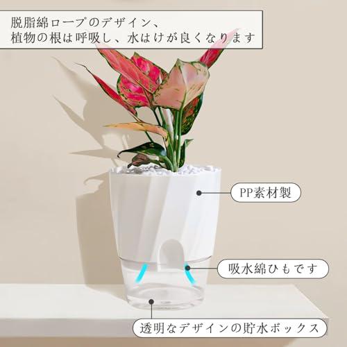 植木鉢 ハイドロカルチャー 鉢 水耕栽培 観葉植物 1個 2個 自動給水 給水ひも付き プラスチック プランター 底面給水鉢 室内観葉植物 水耕 |  | 05