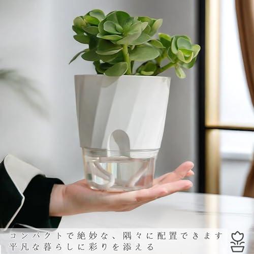 植木鉢 ハイドロカルチャー 鉢 水耕栽培 観葉植物 1個 2個 自動給水 給水ひも付き プラスチック プランター 底面給水鉢 室内観葉植物 水耕 |  | 06