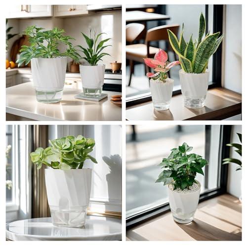 植木鉢 ハイドロカルチャー 鉢 水耕栽培 観葉植物 1個 2個 自動給水 給水ひも付き プラスチック プランター 底面給水鉢 室内観葉植物 水耕 |  | 07