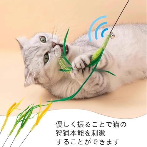 猫じゃらし、猫おもちゃ、猫のお遊びススキ草（エノコログサ）運動不足解消ストレス解消頑丈 ねこじゃらし 1本釣竿付き 一人遊び グリーン |  | 02