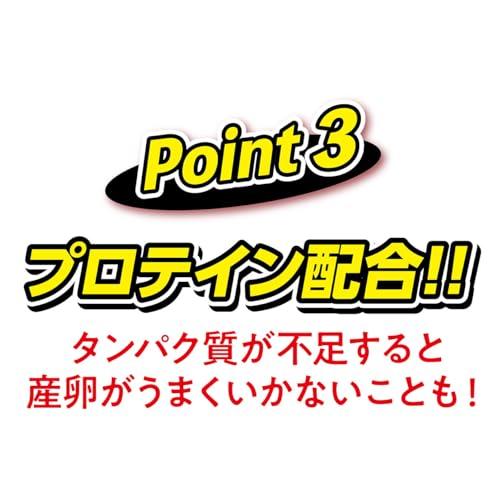 ペティオ Petio 昆虫ゼリー フルーツＭＩＸ ワイドカップ 50個入 |  | 05