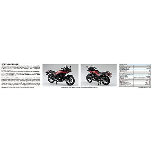 青島文化教材社 1/12 ザ・バイクシリーズ No.18 カワサキ