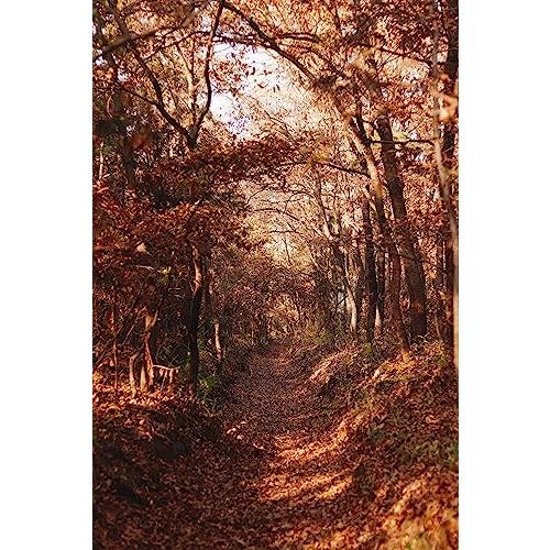 七工匠 7Artisans 18mm F6.3 II マイクロフォーサーズ ブラック ボディキャップレンズ |  | 04