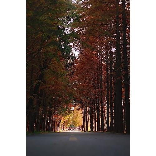 七工匠 7Artisans 18mm F6.3 II マイクロフォーサーズ ブラック ボディキャップレンズ |  | 05