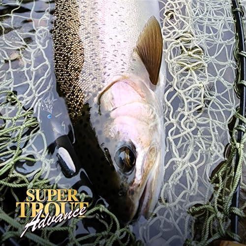 バリバスVARIVAS ナイロンライン バリバス スーパートラウトアドバンス 100m 1.5号 8lb ミスティーブラウン |  | 05