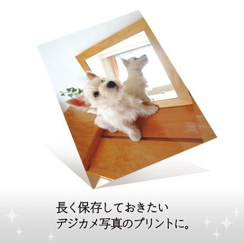 プラス 写真用紙 超きれいな光沢紙 A4判 100枚入 IT-221GC 46064 |  | 04