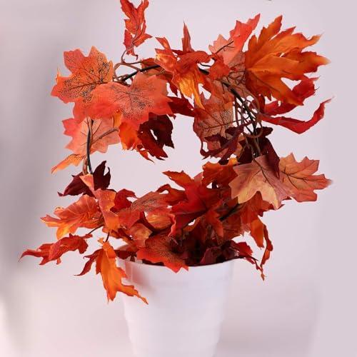 siawadeky 植物支柱 観葉支柱 2個セット 円形 観葉 つる植物 植物サポート 花支え DIY飾り用 植物成長方向誘引 バラ 薔薇 植木 |  | 04