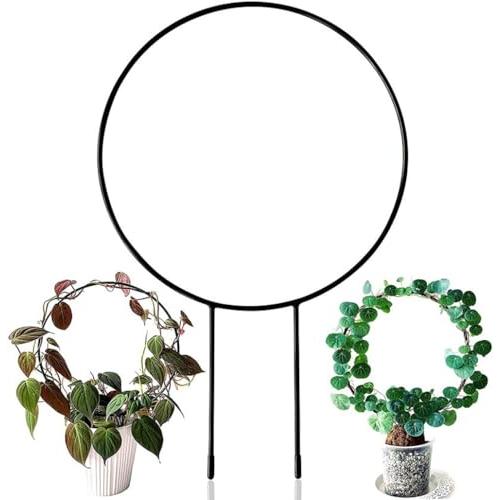 siawadeky 植物支柱 観葉支柱 2個セット 円形 観葉 つる植物 植物サポート 花支え DIY飾り用 植物成長方向誘引 バラ 薔薇 植木 |  | 05