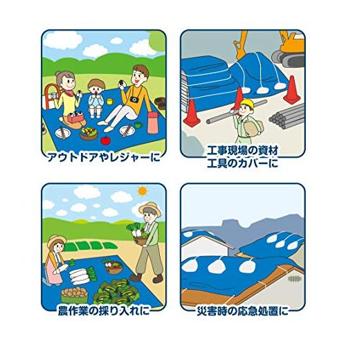 フローバル プロスタイルツール ブルーシート 厚手#3000 PBS3-1.8×3.6 1.8×3.6m |  | 02