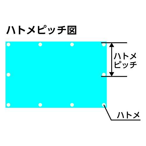 フローバル プロスタイルツール ブルーシート 厚手#3000 PBS3-1.8×3.6 1.8×3.6m |  | 03