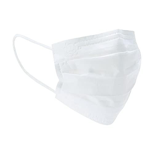 サンリオ マスク 不織布 大人用 30枚 ボックス ぽちゃっこ ポチャッコ