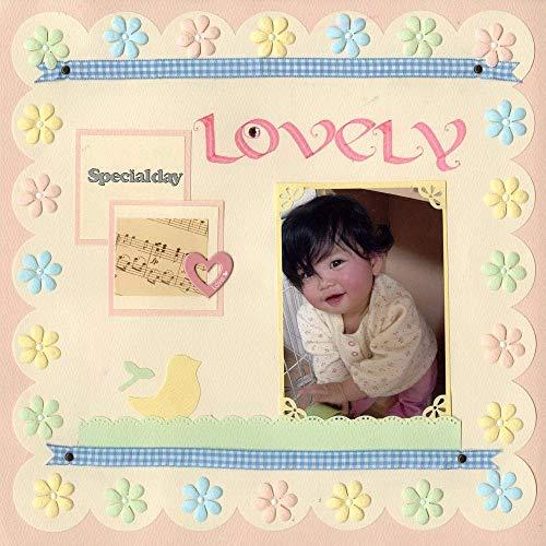 呉竹 クラフトパンチ キュアパンチミディアム ビッグサークル SBKPM850