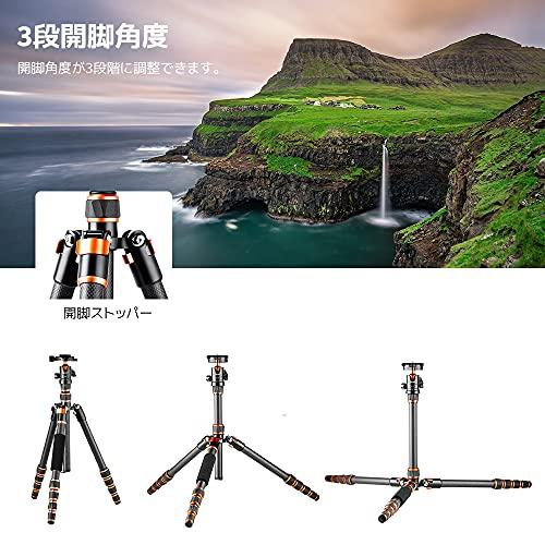 K&F Concept 三脚 カーボン 超軽量 コンパクト 5段 全高153cm 一