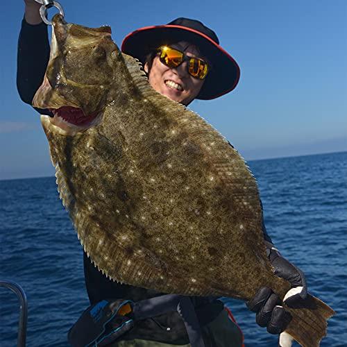 ハヤブサHayabusa 船極喰わせサビキ 落し込み ケイムラ&ホロフラッシュ 強靭イサキ6本 SS426 11-14-14 |  | 03