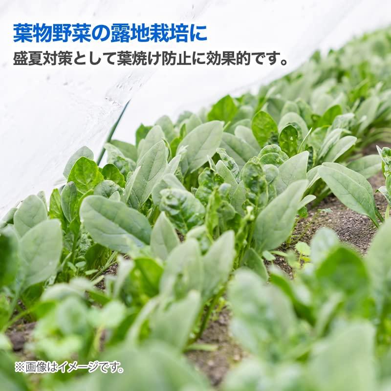 ダイオ 遮光ネット ダイオクール ホワイト 1020SW 2×4m |  | 06