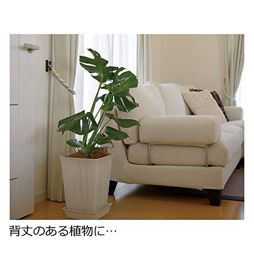 リッチェル プラ鉢 フォーレスクエアポット ７号 ホワイト ホワイト |  | 05