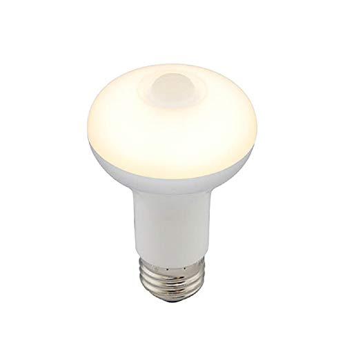 LED電球 レフ形 E26 40形相当 人感・明暗センサー付 電球色 |  | 01