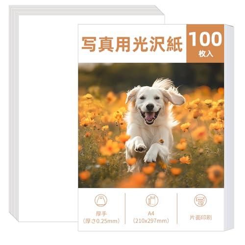 Giftgarden 写真用紙 A4 210x297mm サイズ 収納 フォト用紙 0.25mm厚手 100枚入 | 