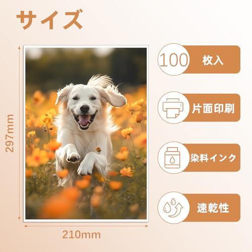 Giftgarden 写真用紙 A4 210x297mm サイズ 収納 フォト用紙 0.25mm厚手 100枚入 |  | 01