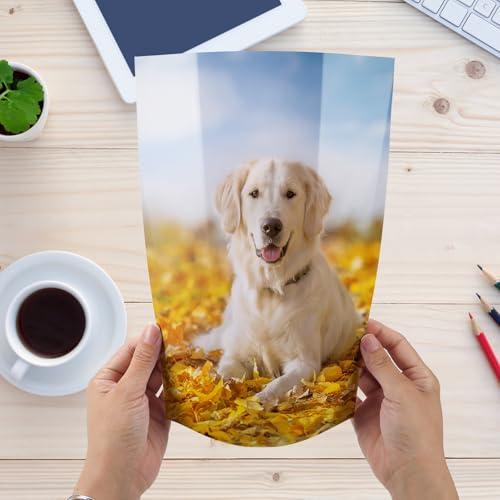 Giftgarden 写真用紙 A4 210x297mm サイズ 収納 フォト用紙 0.25mm厚手 100枚入 |  | 05