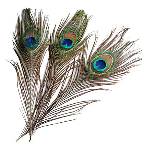 ノーブランド品羽根 目玉羽 装飾用の羽根 孔雀の羽 23-33cm 10本 |  | 05