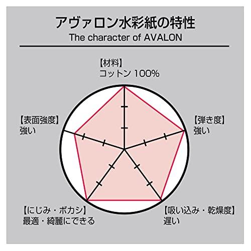 ホルベイン アヴァロン水彩紙 AV-PCP 中目 300g ポストカード 30枚入りパック 271010 |  | 01