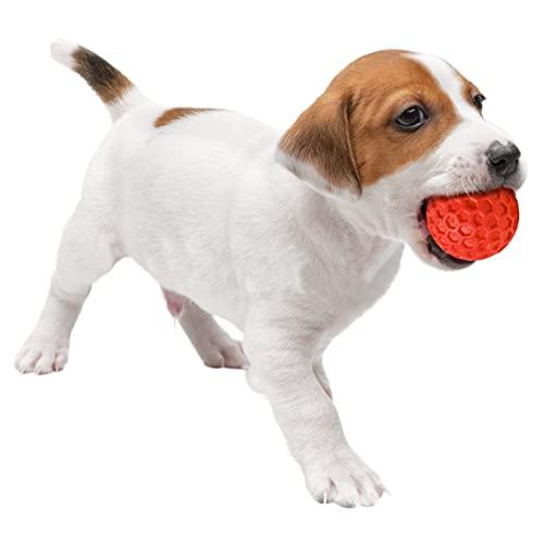 PLATZ PET SUPPLISES＆FUN（プラッツ） 犬用おもちゃ Favo スクィーカーボール ブルー |  | 04