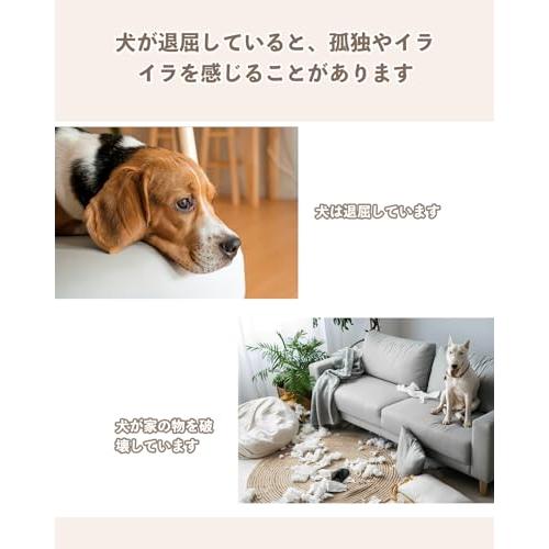 VISKS 犬 フリスビー 犬 おもちゃ ペット用品 柔らかいぬいぐるみ生地 運動不足解消 知能訓練 カラフルな噛みおもちゃ 小型犬/中型犬/大 |  | 06