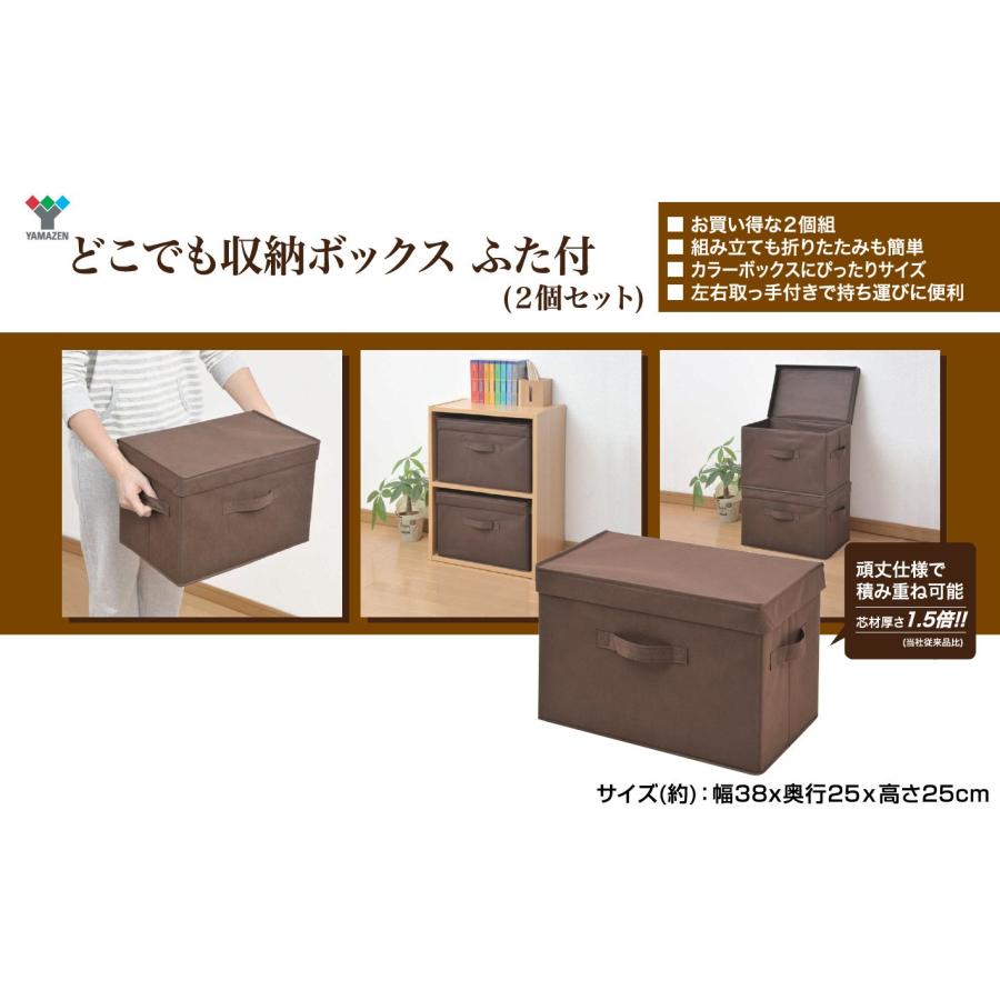 [山善] ふた付き 収納ボックス 幅38×奥行25×高さ25cm 取っ手付き カラーボックス対応 完成品 ブラウン 2個組 YTCF-2PF(BR) | 山善 | 01