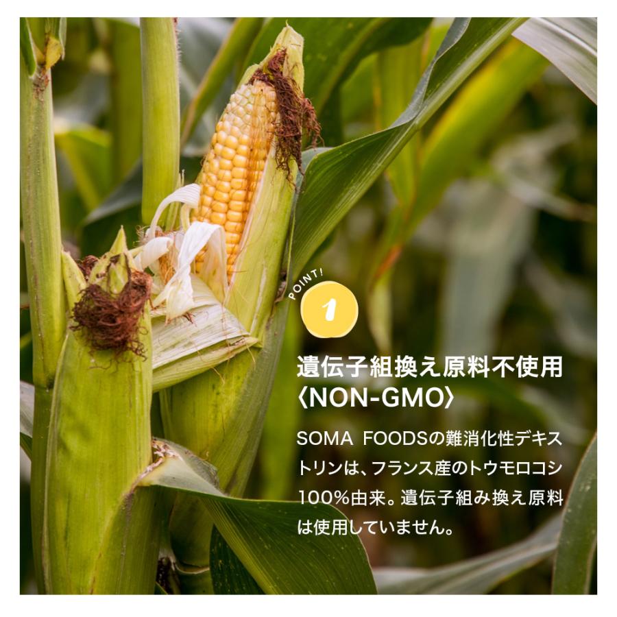 難消化性デキストリン 1kg (500g×2袋) 粉末 水溶性 食物繊維 腸活 サプリメント ダイエット ファイバー サプリ トウモロコシ由来 天然送料無料|soma-sports|04