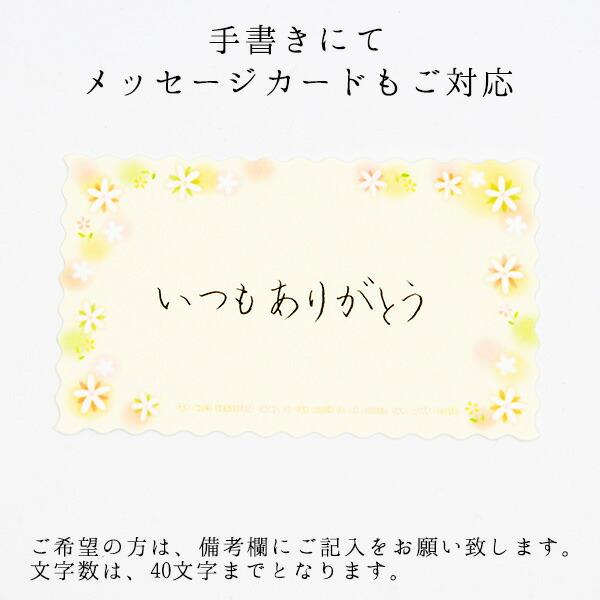 大堀相馬焼 松永窯 二重徳利 (二合)・二重ぐい呑み2個 酒器揃えセット 陶器 焼き物 ギフト プレゼントに 2026年 干支 午年 うま年 馬 |  | 09