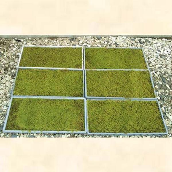 ハイゴケ (這苔) マット 58cm×28cm 6枚セット : 相馬グリーン - 通販