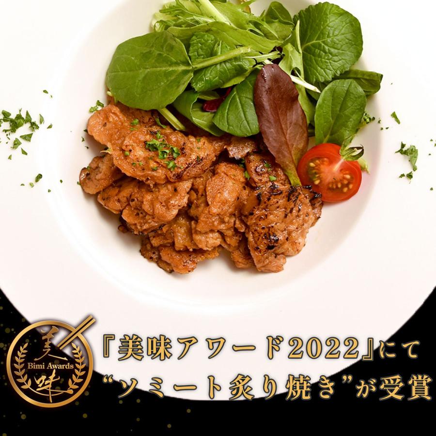 ソミート 大豆ミート 炙り焼き 100g×10パック 【クール冷凍便】 ヴィーガン ダイエット 動物性原材料不使用 高たんぱく質 染野屋 |  | 09