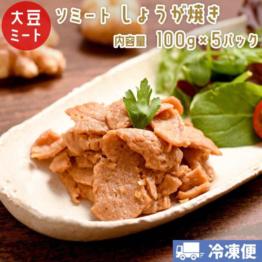 ソミート 大豆ミート しょうが焼き 100g×5パック 【クール冷凍便】 ヴィーガン ダイエット 動物性原材料不使用 高たんぱく質 染野屋 | 