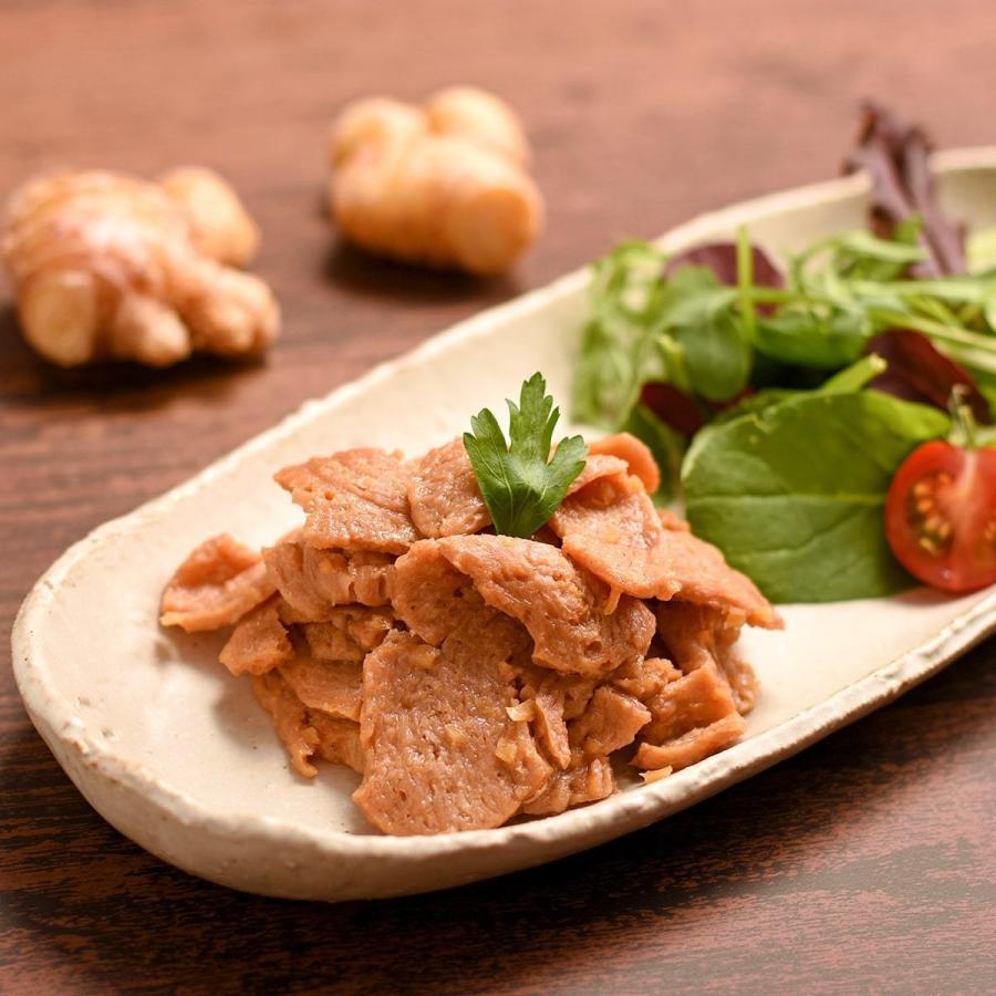 ソミート 大豆ミート しょうが焼き 100g×10パック 【クール冷凍便】 ヴィーガン ダイエット 動物性原材料不使用 高たんぱく質 染野屋 |  | 02