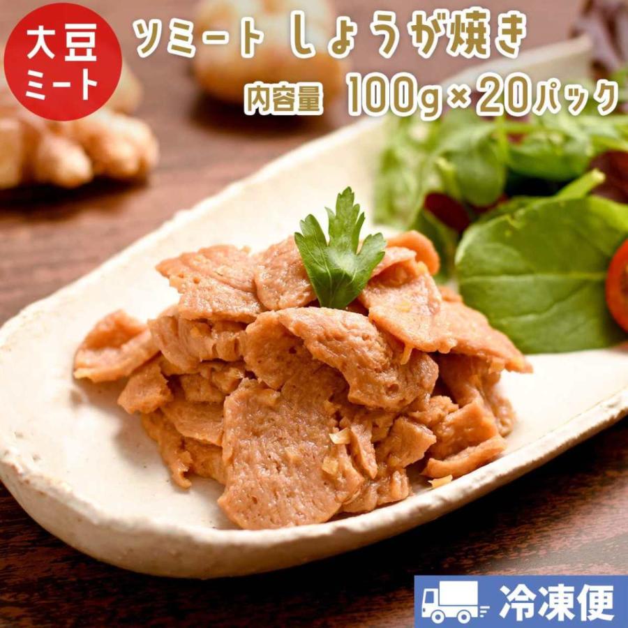 ソミート 大豆ミート しょうが焼き 100g×20パック 【クール冷凍便】 ヴィーガン ダイエット 動物性原材料不使用 高たんぱく質 染野屋 | 