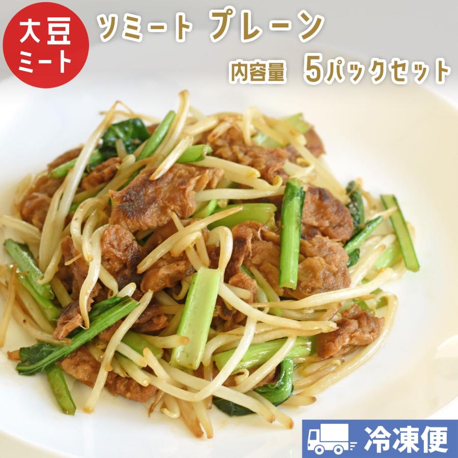 ソミート 大豆ミート プレーン 100g×5パック 【クール冷凍便】 ヴィーガン ダイエット 動物性原材料不使用 高たんぱく質 染野屋 | 