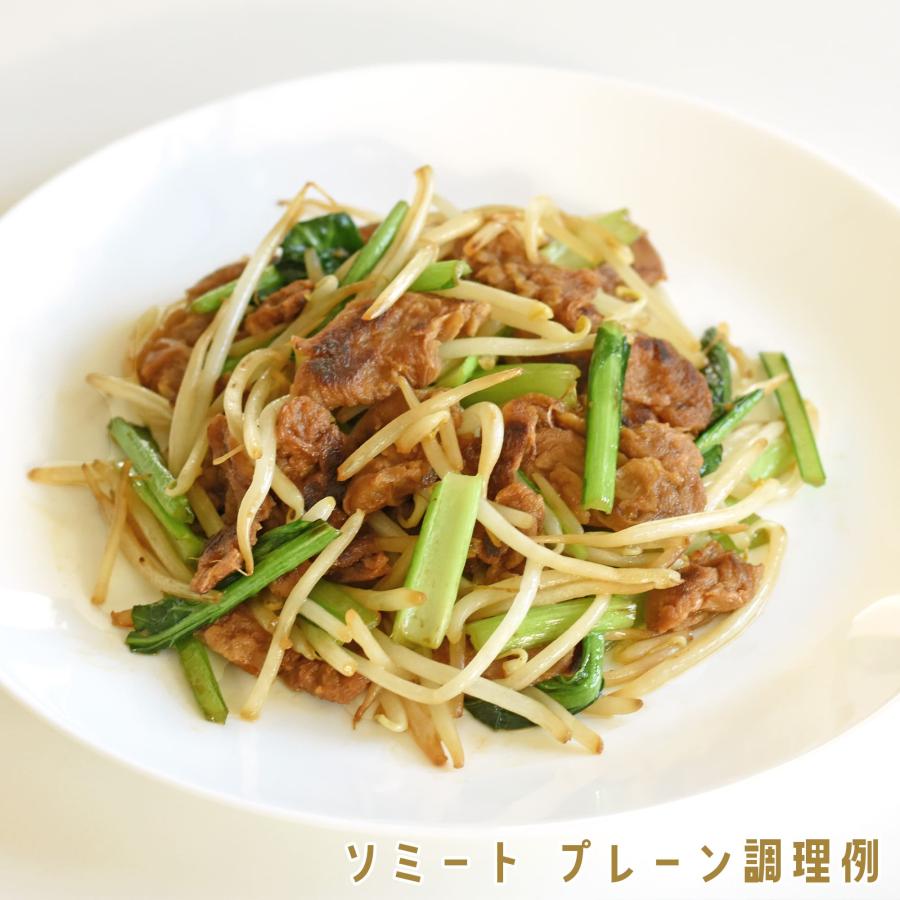 ソミート 大豆ミート プレーン 100g×5パック 【クール冷凍便】 ヴィーガン ダイエット 動物性原材料不使用 高たんぱく質 染野屋 |  | 02