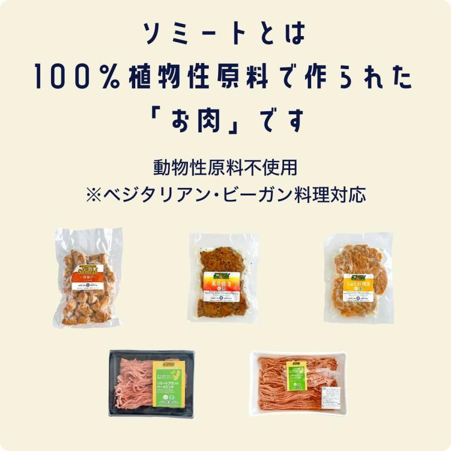 ソミート 大豆ミート プレーン 100g×10パック 【クール冷凍便】 ヴィーガン ダイエット 動物性原材料不使用 高たんぱく質 染野屋｜somenoya｜06