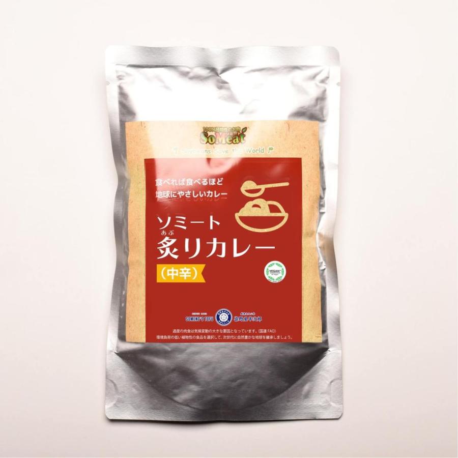 ソミート 大豆ミート 炙りカレー 10パック 【送料無料】 レトルト ヴィーガン ダイエット 動物性原材料不使用 高たんぱく質 染野屋 |  | 01
