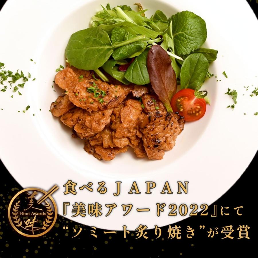 ソミート 大豆ミート 3種セット (炙り焼き/しょうが焼き/プルコギ 各100g×2) 【クール冷凍便】 ヴィーガン ダイエット 動物性原材料不使用 染野屋 |  | 12
