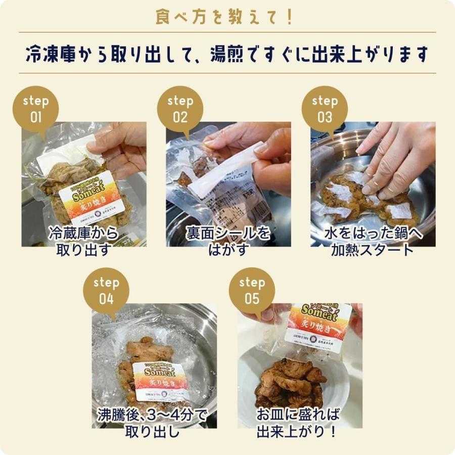 ソミート 大豆ミート プルコギ 100g×5パック 【クール冷凍便】 ヴィーガン ダイエット 動物性原材料不使用 染野屋 |  | 04