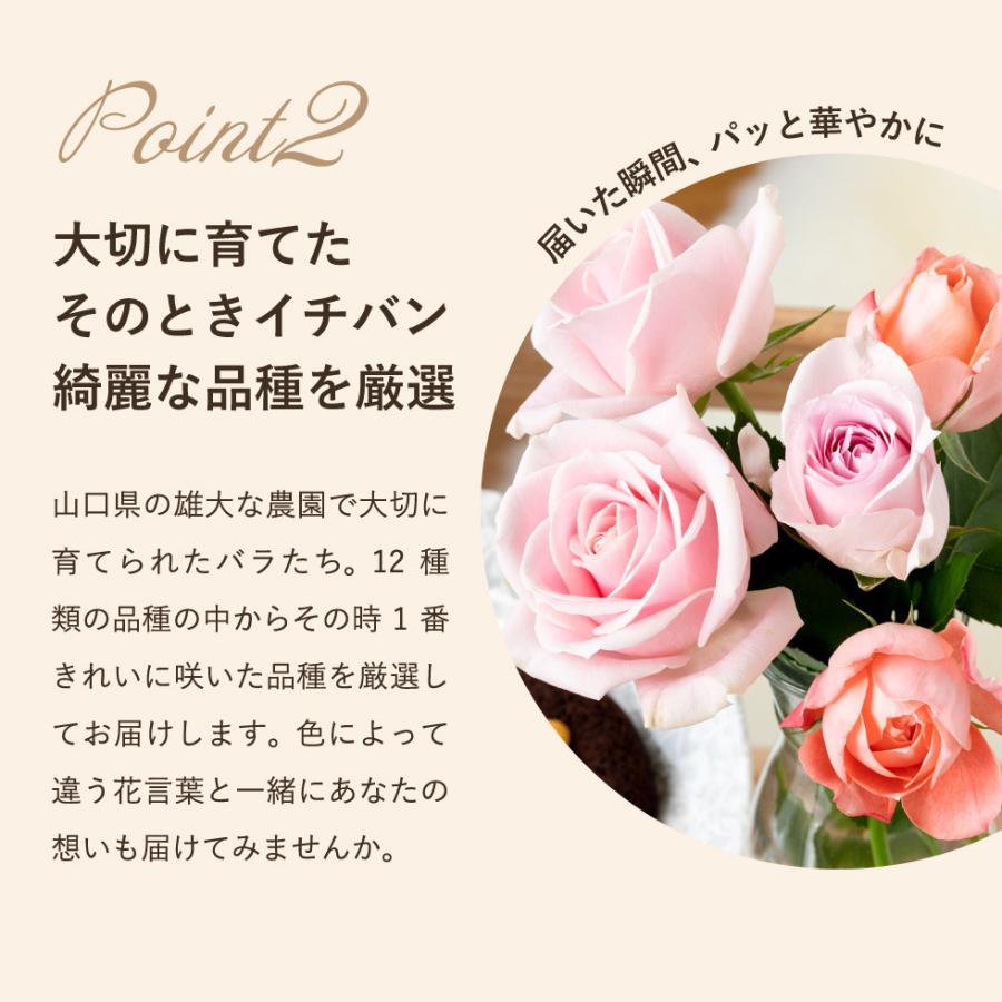 国内配送 お中元 ギフト 22 送料無料 ホシファーム バラブーケ アニマルドーナツセット メーカー直送 のし 包装紙 メッセージカード不可 スイーツ ギフト3 300円 Aynaelda Com