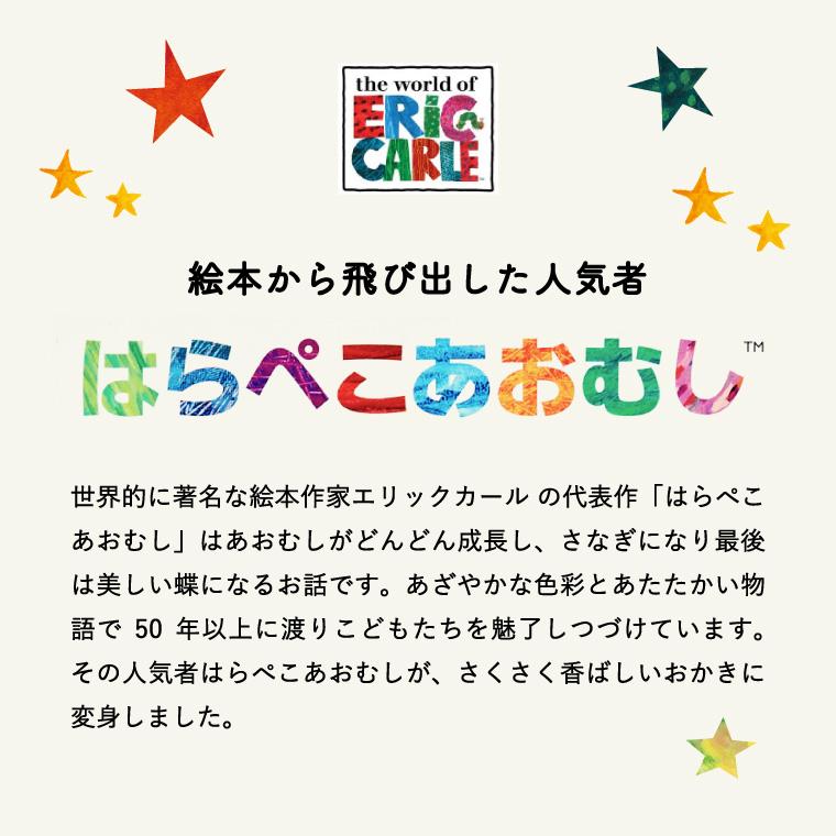 母の日 プレゼント スイーツ 送料無料 内祝い お菓子 お返し お菓子 はらぺこあおむし おやつアソート HA-15S 写真入り メッセージカード無料 名入れ｜somurie｜12