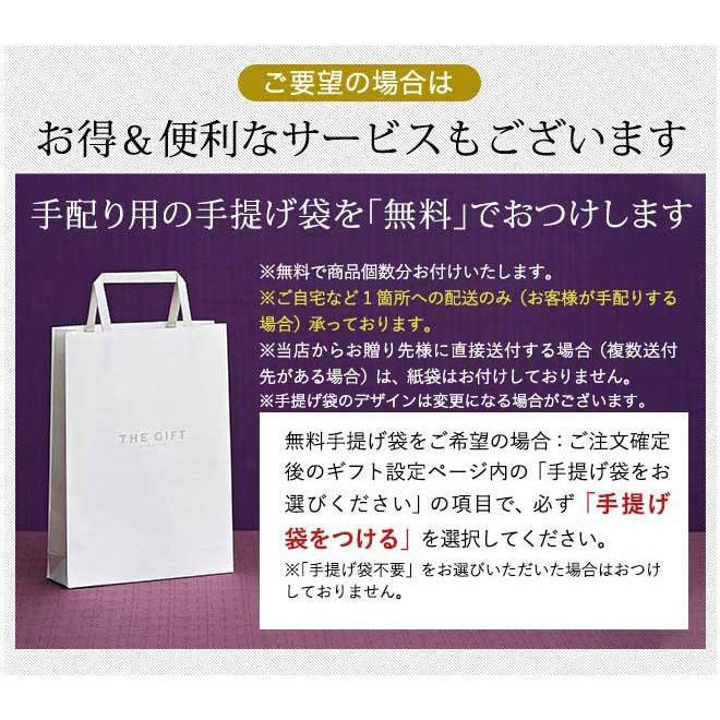 香典返し カタログギフト シルバーボックス 粗供養 法事引出物 満中陰志 送料無料 香典返し専用 挨拶状 無料 のし 表書き 志 S-AOO｜somurie｜03