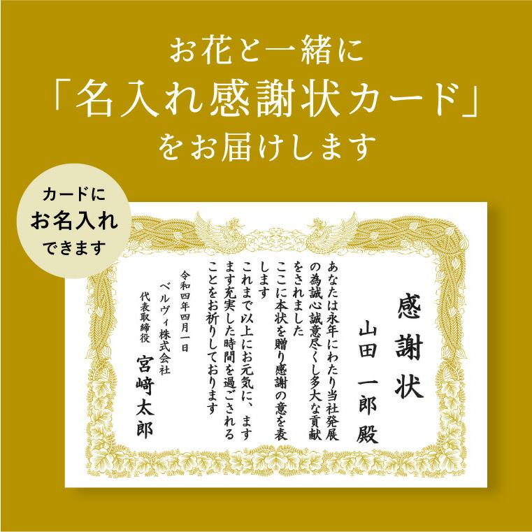 カタログギフト 出産祝い 感謝状カード付き code℃ コードシー プレミアムカタログギフト＆プリザーブドフラワーセット S-AOO 送料無料 オセアン | code℃ | 06