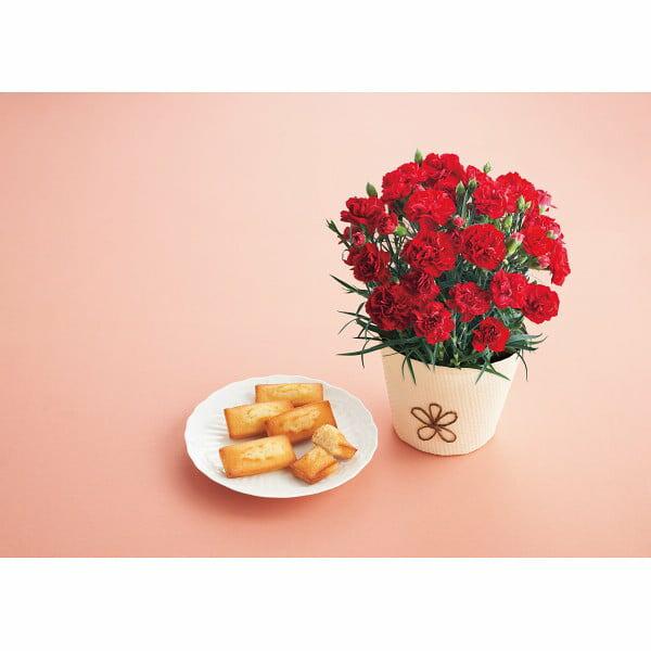 まだ間に合う 母の日 21 カーネーション スイーツ プレゼント アンリシャルパンティエ フィナンシェ マドレーヌ メーカー直送 F 21 D M 21 6715 017 ソムリエ ギフト Paypayモール店 通販 Paypayモール