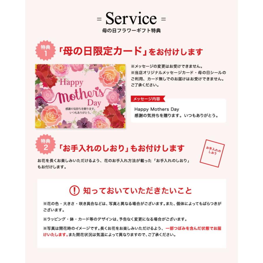 まだ間に合う 母の日 21 カーネーション スイーツ プレゼント アンリシャルパンティエ フィナンシェ マドレーヌ メーカー直送 F 21 D M 21 6715 017 ソムリエ ギフト Paypayモール店 通販 Paypayモール